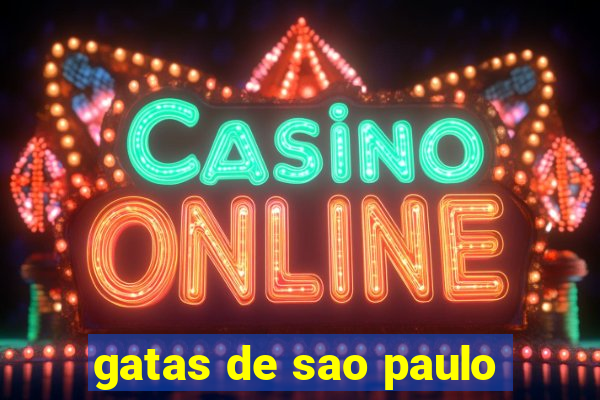 gatas de sao paulo